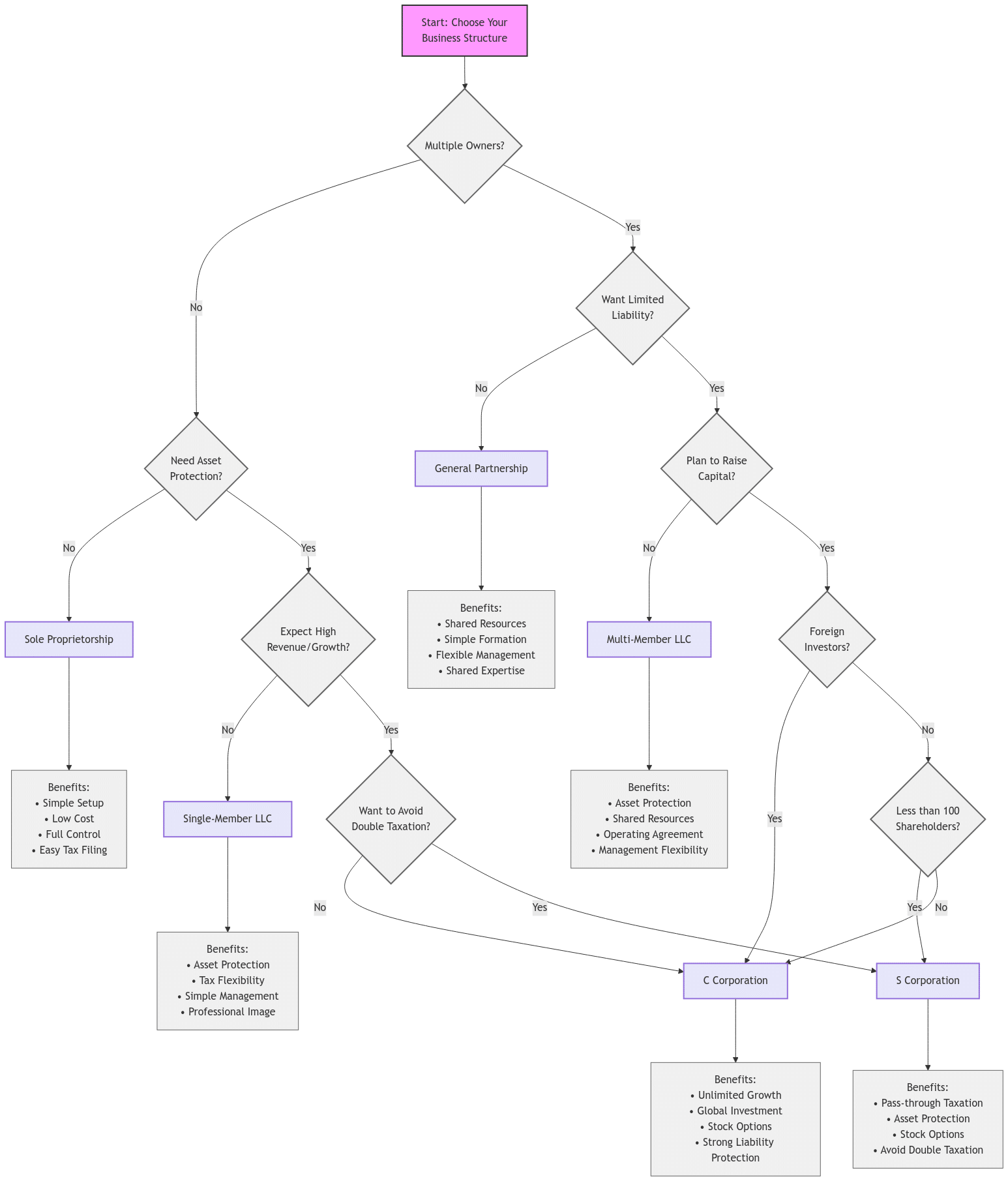 Business Structure Decision FlowChart